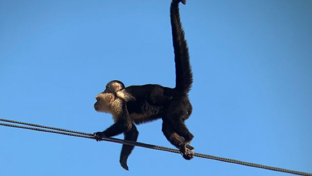 帕洛維德自然公園遊船之旅