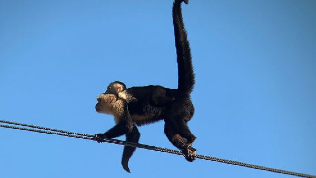 Экскурсия на лодке по природному парку Пало-Верде