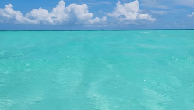 Zanzibar: tour di snorkeling e avvistamento delfini all'isola di Mnemba