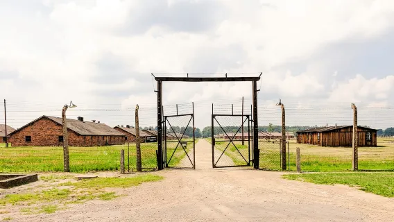 Da Cracovia: tour di Auschwitz-Birkenau con trasporto