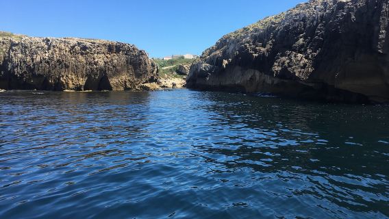 Từ Peniche: Chuyến tham quan bằng thuyền Cabo Carvoeiro kéo dài 1 giờ