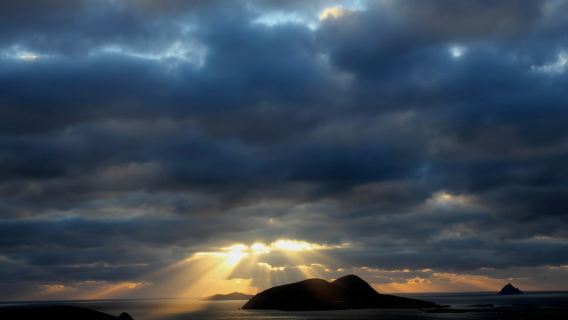 Excursión de un día a Dingle desde Limerick