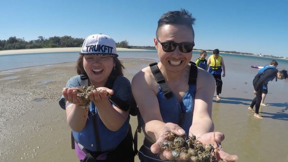 Gold Coast : Excursion en kayak et plongée avec tuba avec nourrissage des poissons