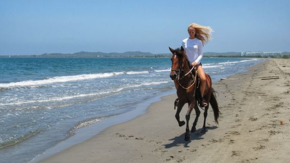 Miami: Paseo a caballo por la playa y sendero natural