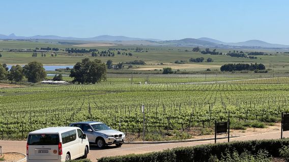 Констанция Полудневный тур с дегустацией вин