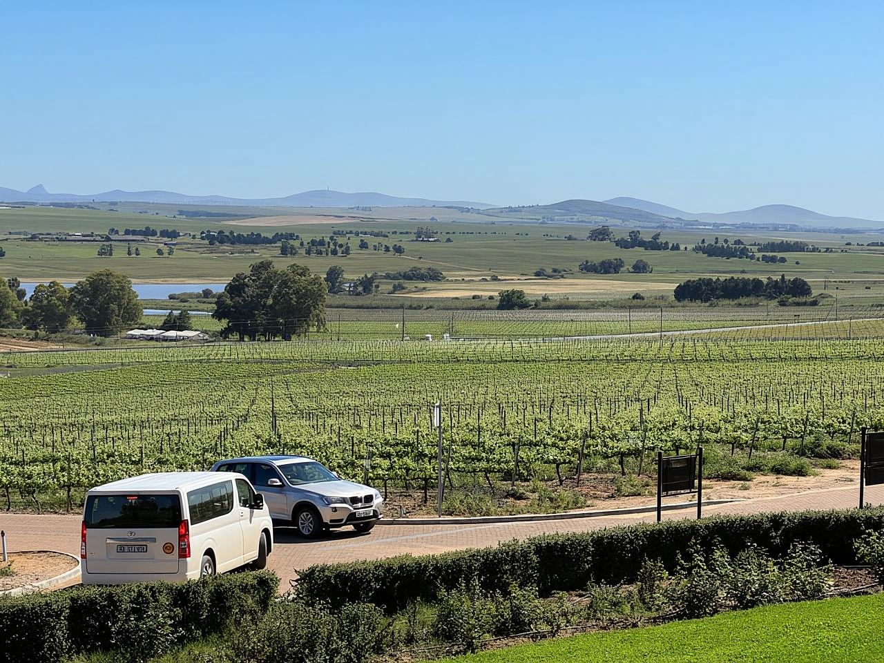 Constantia Half day Wine Tasting tour