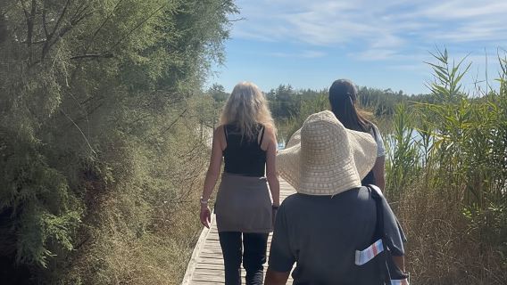 From Montpellier: Camargue and Salt Marshes Guided Tour
