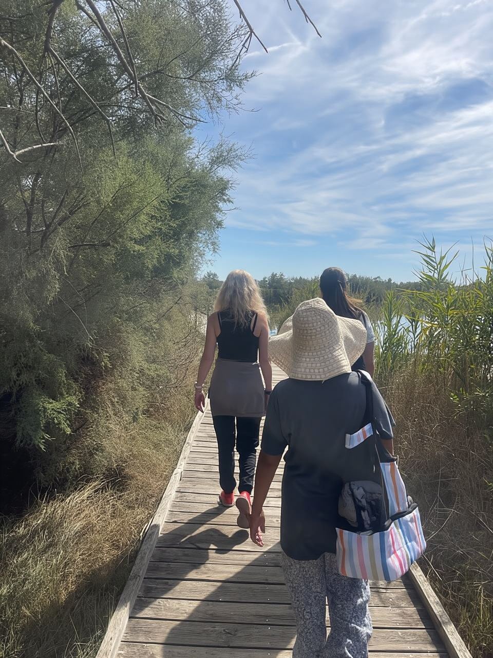 From Montpellier: Camargue and Salt Marshes Guided Tour