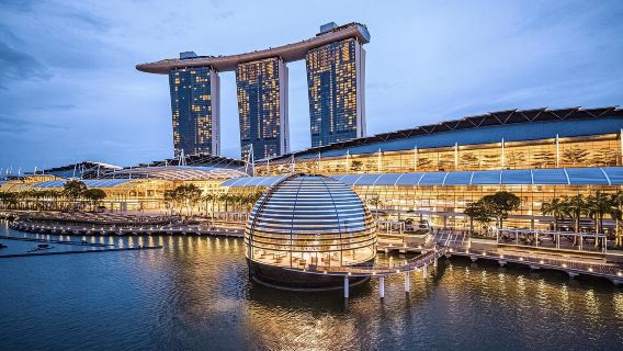 Tour đêm đặc trưng: Đi bộ qua bến du thuyền và nếm thử đồ ăn