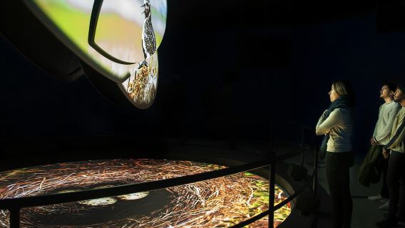 Reykjavik: FlyOver Iceland Entry Ticket