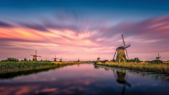 Rotterdam + Kinderdijk Windmills + Volendam Day Tour