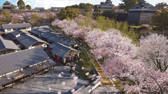Partenza da Fukuoka: Trasporto dedicato per il Castello di Kumamoto, il cratere del vulcano Aso e l'esperienza di equitazione a Kusasenri