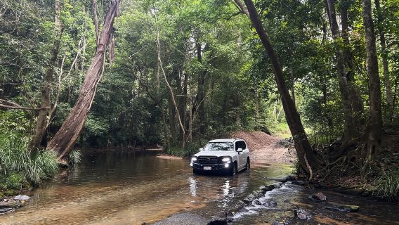 Cairns: Forest and Waterfalls Half-Day 4WD Guided Adventure