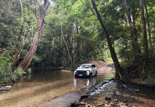 Cairns: Forest and Waterfalls Half-Day 4WD Guided Adventure AUD 174.65