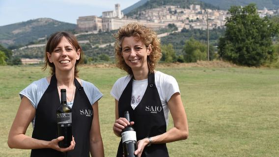 Pic nic Deluxe Assisi and wine tasting 5 wines