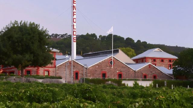 醉美南澳！巴羅薩谷酒莊一日遊｜奔富瑪吉爾莊園 + 神奇回音壁