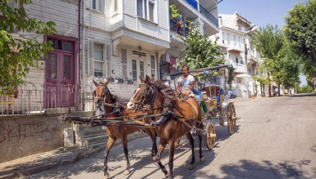 A Day on Prince's Island - Full-Day Tour