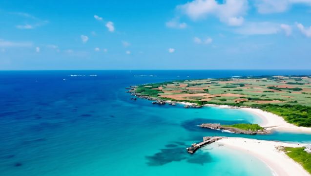 沖縄　ブルーオーシャンクラブ