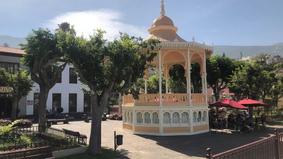 Tenerife: Tour completo por la isla con Masca