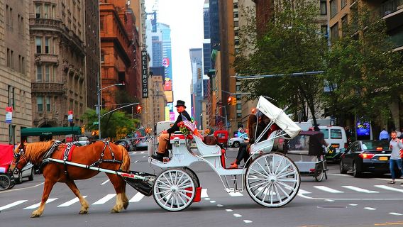 NYC Horse Carriage Ride in Central Park (50 Min. Up to 4 Adults)