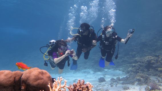 Daily 2 Dives with Equipment from Hurghada