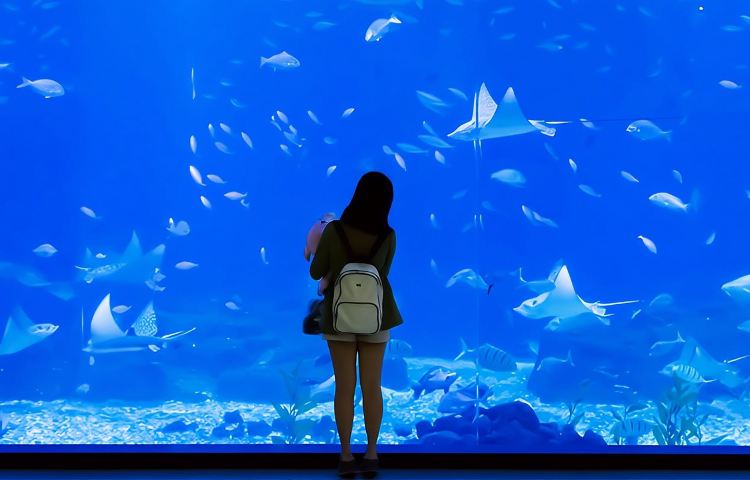 沖繩北部經典一日遊【9人小團/巴士團|可含水族館入場門票】