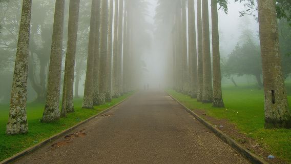 Escape Accra City to Aburi Gardens and Tetteh Quarshie Cocoa Farms