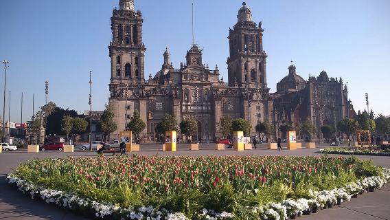 Private Tour of Mexico City with Anthropology