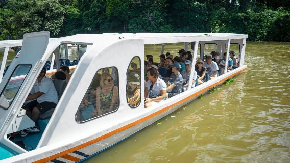 6-in-1-Tour: Cahuita-Nationalpark, Tortuguero-Kanäle & mehr!
