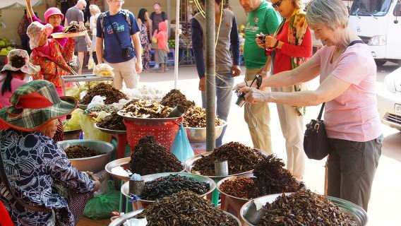 Il viaggio da Phnom Penh a/da Siem Reap: un tour memorabile
