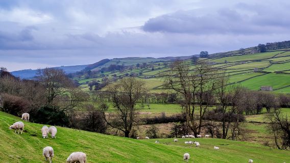 Heriot and Yorkshire Dales National Park one-day tour from York, England