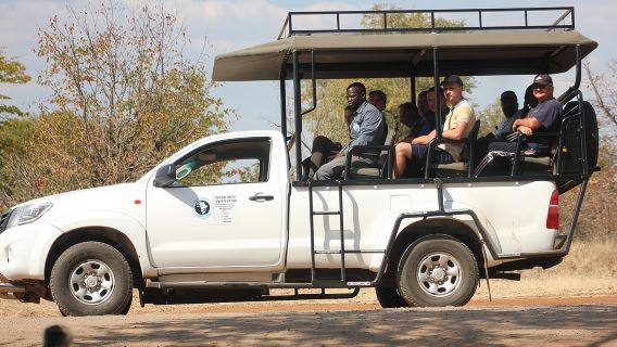 Game Drive and White Rhino Walking Safari in Livingstone