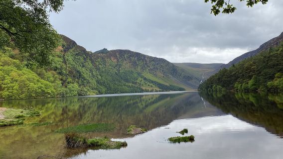 Excursión de un día desde Dublín: Montañas de Wicklow, Glendalough, Powerscourt