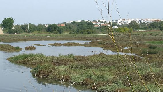Abicada lagoon half-day tour
