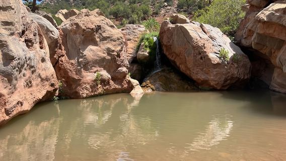 Halbtägige geführte Tour zur Berberoase mit kurzer Wanderung