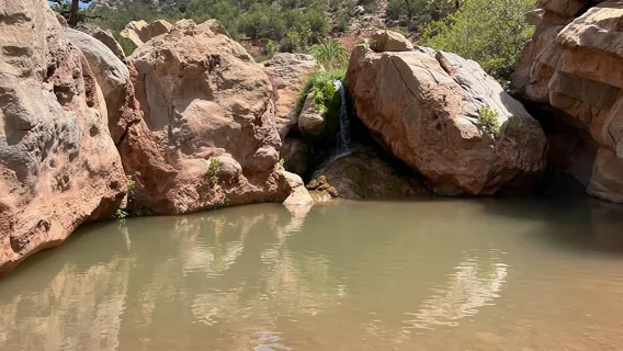 Экскурсия на полдня в берберский оазис с коротким треккингом