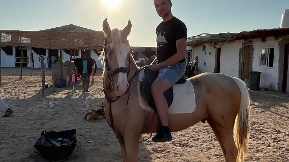  Horse Riding on the Beach And Desert 3 hours From Hurghada