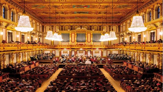 Экскурсия с посещением залов Моцарта (на выбор: Золотой зал или зал Брамса)