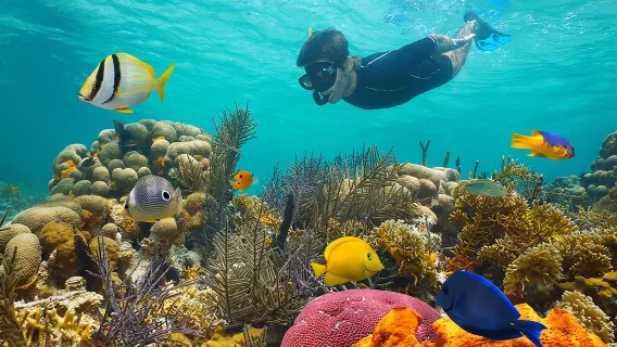 Key West Reef ochtendsnorkelen met ontbijt en mimosas