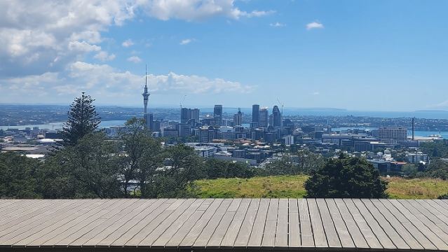 Private Halbtagestour durch Auckland: Die 5 besten Orte