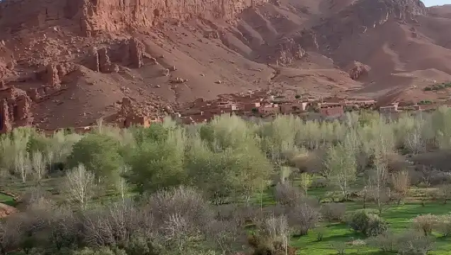 Full Day Trip to Ouarzazate and Ait Benhaddou from Marrakech 