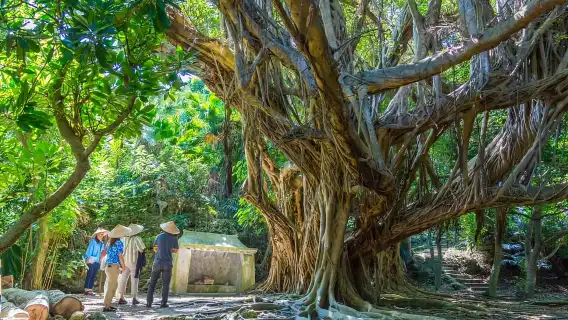 Okinawa: Henza and Hamahiga Islands Guided Bike Tour