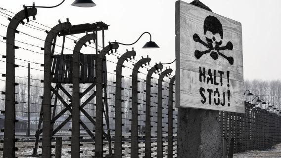 From Krakow: Auschwitz-Birkenau Tour
