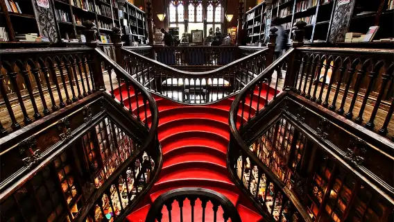 Full-Day Tour to Porto from Santiago de Compostela