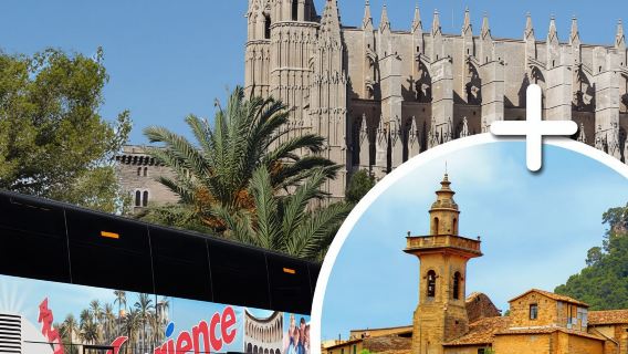Mallorca: Transfer to Palma self-guided Tour