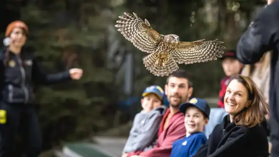 Kiwi Park Admission Ticket