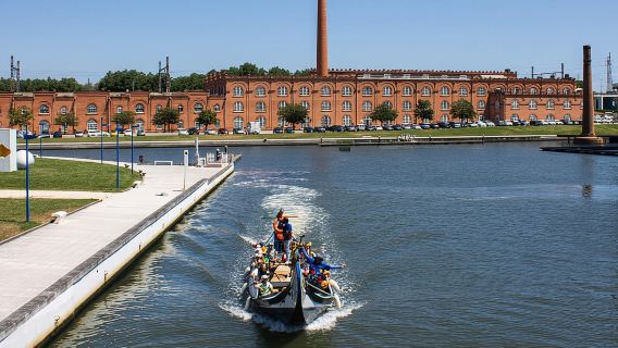 Aveiro: Traditional Moliceiro Boat Cruise
