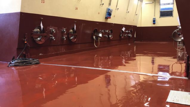 Villa Bogdano 1880: Tour guiado por la bodega y cata de vinos