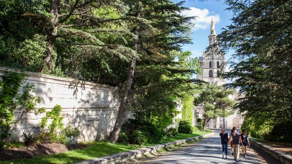 Avignon: City Walking Tour dengan Popes Palace Kemasukan