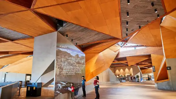 From Melbourne: Penguin Parade and Koalas Tour